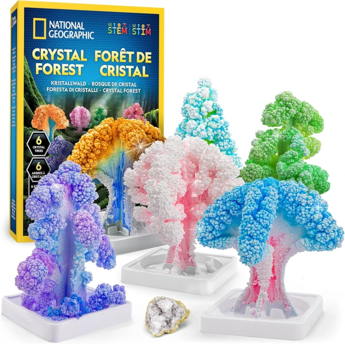 kit forêt cristaux pour cadeau enfant 8 ans